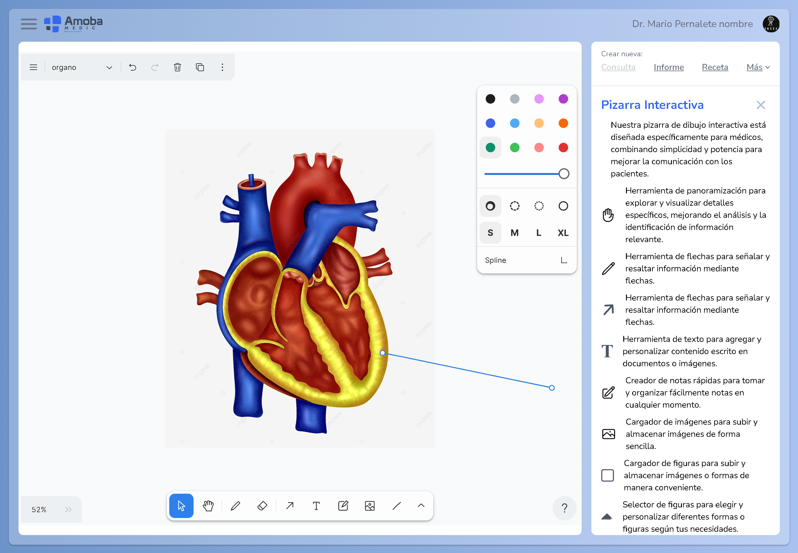 Comunica con Claridad: Potencia tus Explicaciones con la Pizarra Digital de AmobaMedic