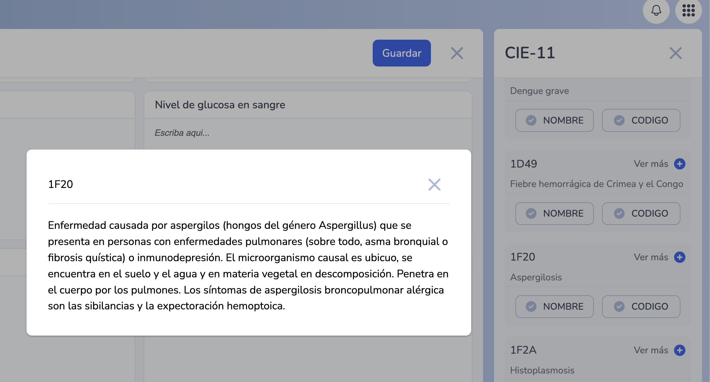 🩺 Guía para usar el CIE-11 en AmobaMedic